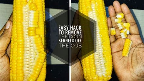 How To Remove Corn Kernels In 1minuteremoving Corn From The Cob