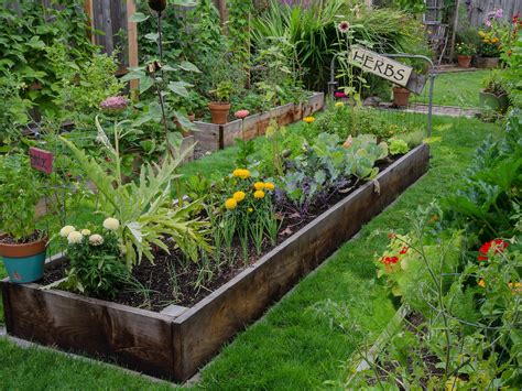 How To Make A Vegetable Garden For Beginners