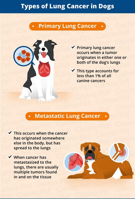 Signs That Cancer Has Spread In Dogs Cancer Signs And Symptoms