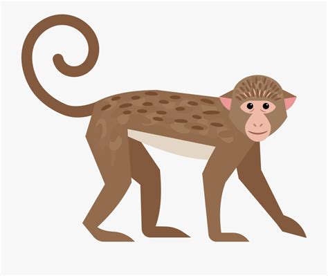 Tail Clipart Monkey Pictures On Cliparts Pub 2020 🔝