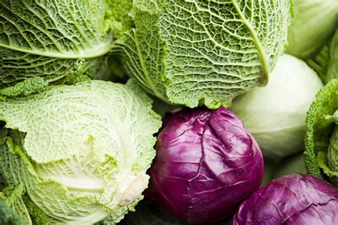 Four Varieties Of Cabbage And Their Uses