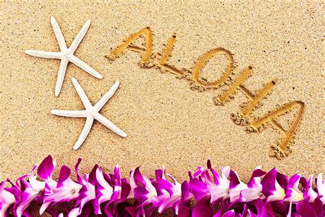 how to say hi in hawaiian aloha a hui hou and more hawaiian greetings hawaii star