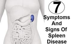 Sharp spasms on the lower left side of the back is caused by overuse of a muscle, injury, or a possible tear. What is the spleen and what causes an enlarged spleen(splenomegaly)? The spleen sits under your ...