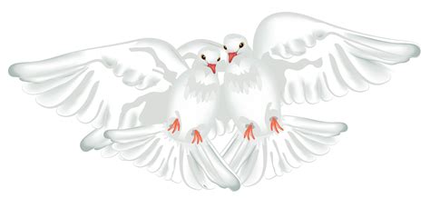 Dove Frame Png