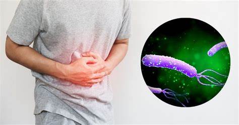 Лечение helicobacter pylori диета Helicobacter Pylori prevents weight loss and causes bloating - how to Helicobacter Pylori prevents weight loss and causes bloating - how to Лечение helicobacter pylori диета