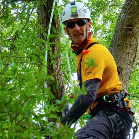 All About Trees Now Employs Two Isa Board Certified Master Arborists