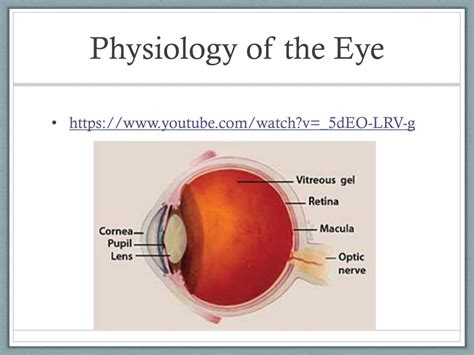 Ppt The Aging Eye And Occupational Therapy Powerpoint Presentation