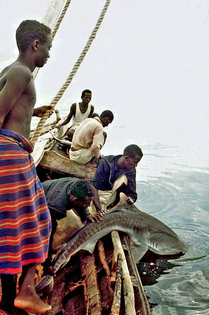 Fascinating Humanity Red Sea Shark Fishing