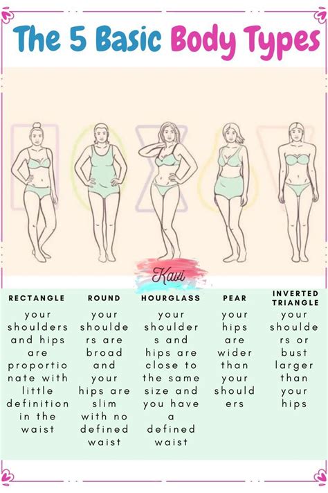 Basic Female Body Types Body Types Women Body Type Drawing Body