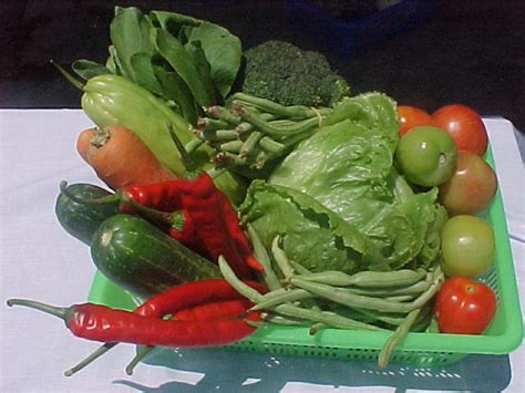 Makanan sayur sayuran, mersing, johor, malaysia. Contoh