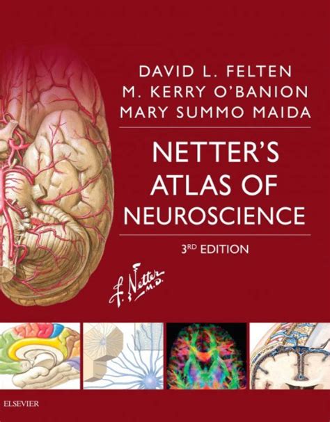Netters Atlas Of Neuroscience Ebook