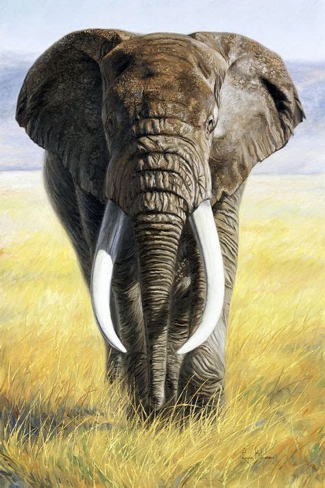 Pin Af Mikael Lith På Animals Elefant Maleri Elefanter Vilde Dyr