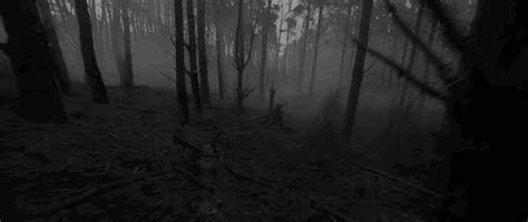 Black And White Pictures Anime Forest 10 Desktop