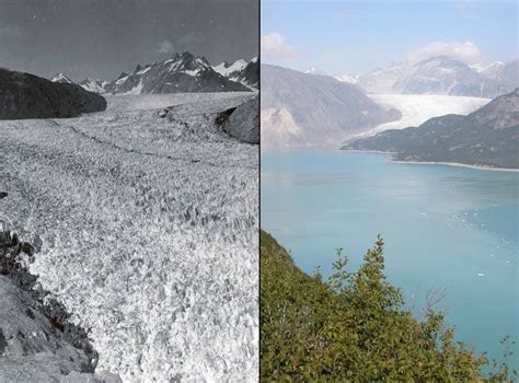 Earth Is Losing Its Ice Glaciers Around The World Are Rapidly