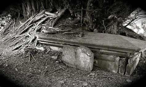 Crumbling Earth And Root Overgrown Tomb Cemetery Statues Overgrown