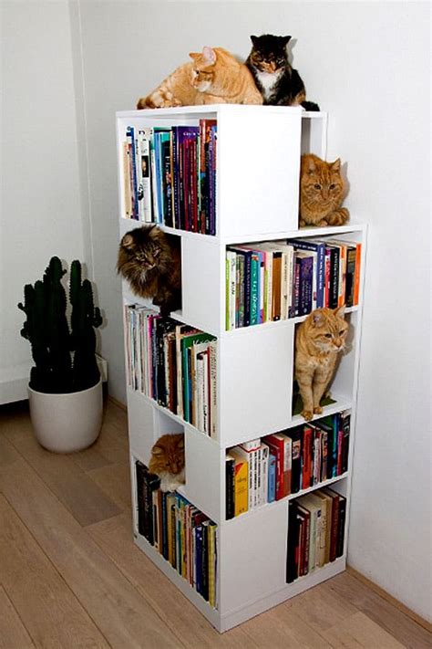 The Catcase Mixes Bookcase Cat Tree And Feline Fun Catster