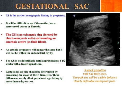 Imaging in obstetrics & gynaecology