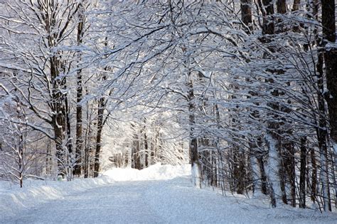 Winter Wonderland In Traverse City Michigan Painted Effect Flickr