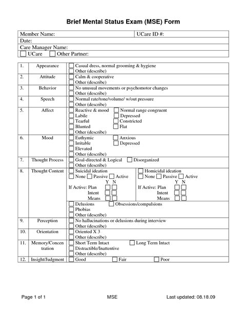 Mini Mental Status Exam Worksheet