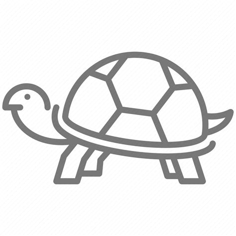 Reptile Pet Animal Turtle Pet Turtle Icon Download On Iconfinder