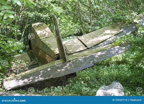 Old Airplane Crashed In Deep Green Woods Lost Airplane Emergency