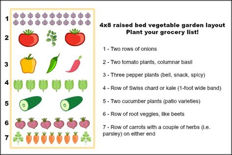 4x8 Raised Bed Vegetable Garden Layout Ideas What To Sow And Grow