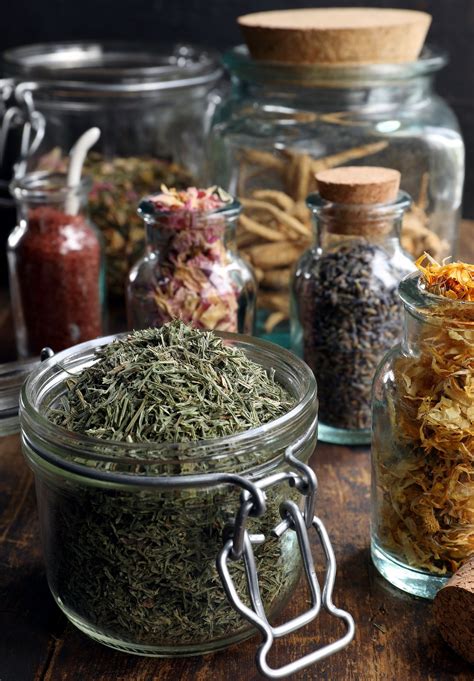 Must Have Tools For Herbalists