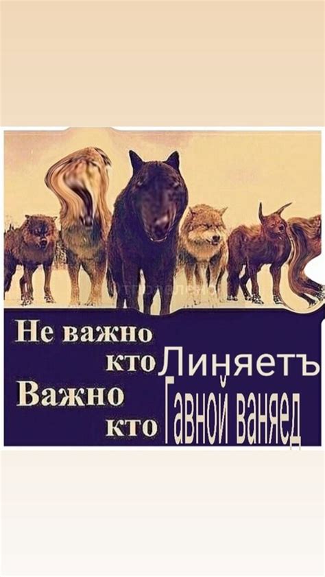 Волк не тот кто волк а тот кто волк Смешные мемы Мемы Веселые мемы