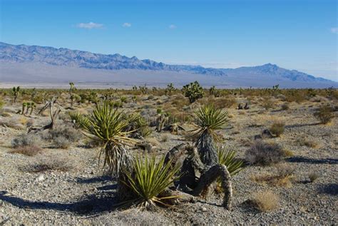 Nevada Desert Near Las Vegas Stock Image Image Of Landscape Nature