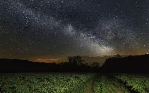 Green Grass Field Under Starry Night Hd Wallpaper Wallpaper Flare