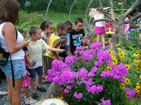 Hopn Blueberry Farm News Black Mountain Primary School Summer Camp Visits