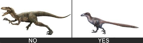 Velociraptor Size Comparison Jurassic Park