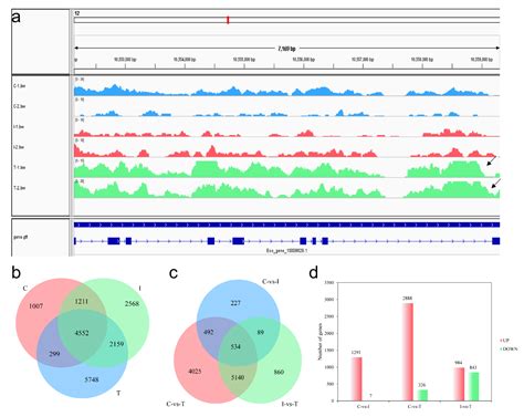 ijms free full text integration of atac seq and rna seq unravels chromatin accessibility