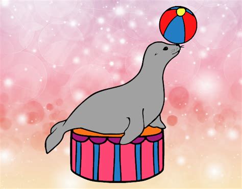 Si quieres que tu hijo aprenda a identificar una foca, puedes imprimir este dibujo para colorear. Dibujo de Foca equilibrista pintado por en Dibujos.net el ...