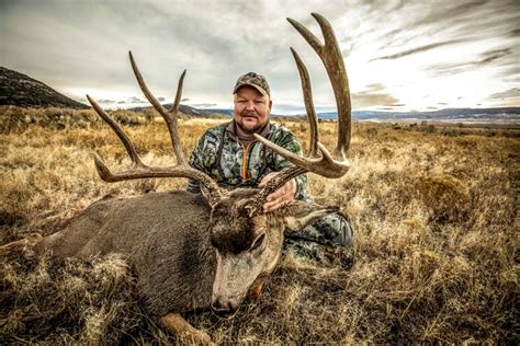 Colorado Mule Deer Hunts Diy Colorado Hunts Guided Muley Hunting