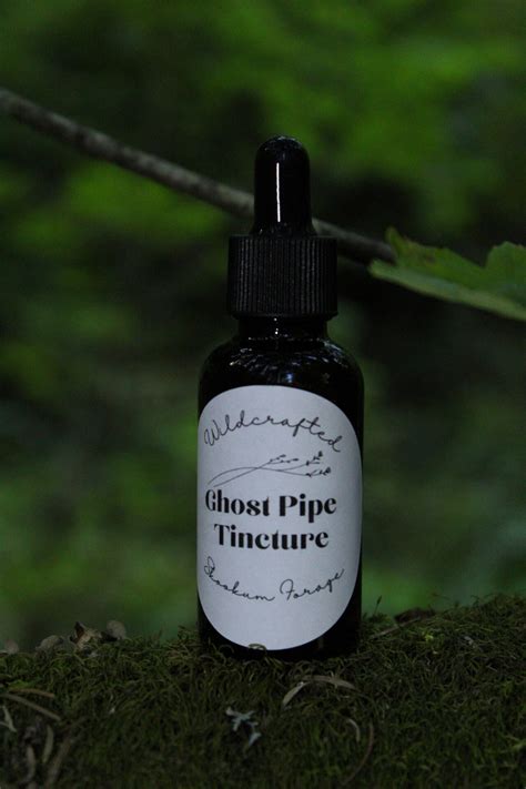Ghost Pipe Tincture Wildcrafted Vegan And Sustainable Etsy