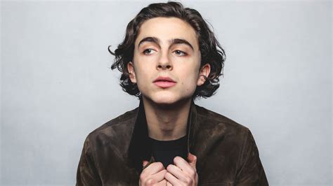 He began his acting career in short films and commercials, before appearing in the television drama series homeland in 2012. Timothee Chalamet Photoshoot 2020 Fondo de pantalla 4k ...