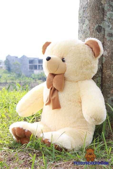 Jual Boneka Beruang Teddy Bear Jumbo 100cm V2 Di Lapak Kaffastore Kefikefu