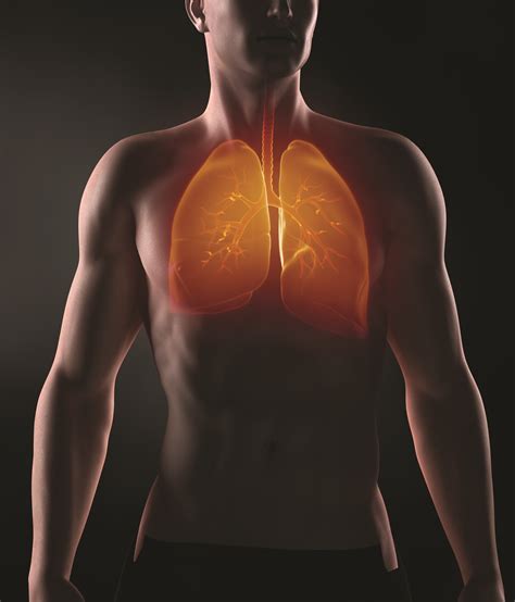 November Is Lung Cancer Awareness Month Health Insights