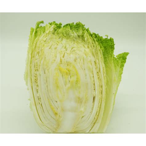 Cabbage Chinese Wombok 12 Cabbage