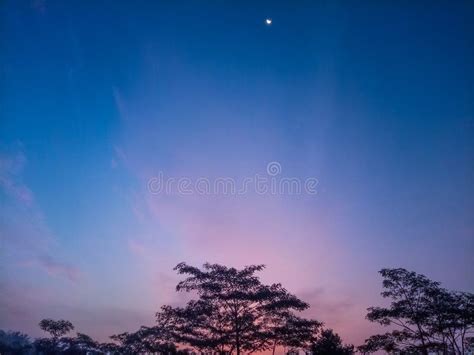 Photo Of Clear Dawn Sky Stock Photo Image Of Afterglow 237606360