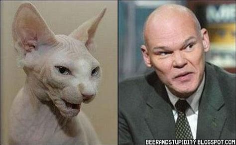 Boredom Crusher Famous People And Their Cat Look Alikes Like Animals
