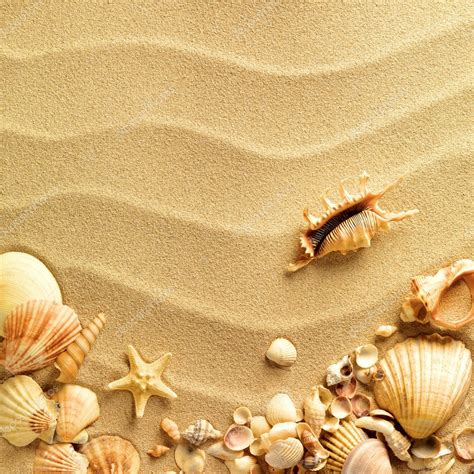 Sea Shells With Sand As Background — Stock Photo © Smaglov 7676913