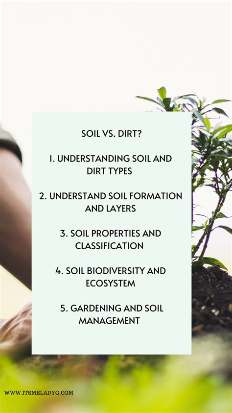Soil Vs Dirt Whats The Difference Its Me Lady G