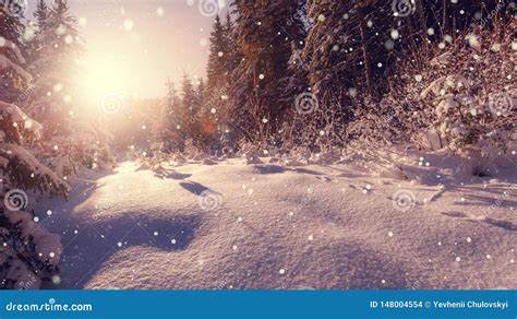 Wonderful Winter Nature Background Wintry Landscape With Snowfall