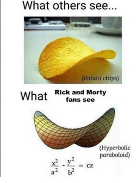 What Others See Potato Chips What Rick And Morty Fans See Hyperbolic X2