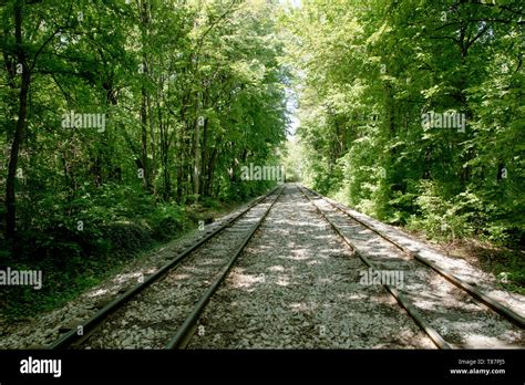 railroad tracks on a bed of rock stretching out across forest landscape forest background with