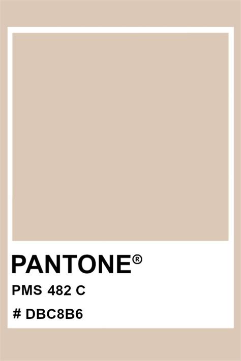 PANTONE 482 C Pantone Color PMS Hex Pantone Palette Pantone