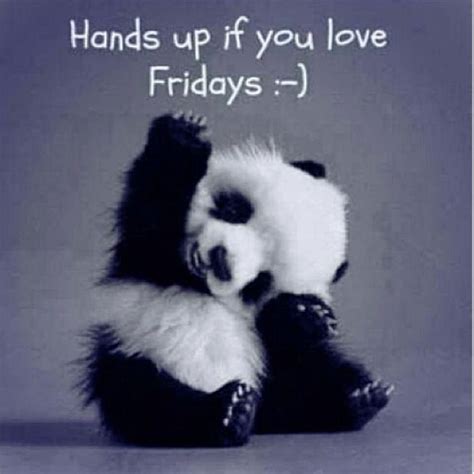 Hands Up If You Love Fridays Cute Animals Its Friday Quotes