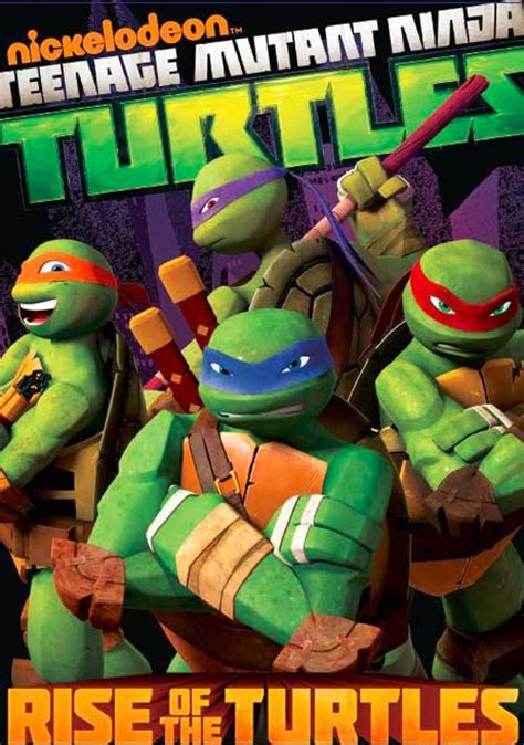 Review Teenage Mutant Ninja Turtles Rise Of The Turtles Dvd Flayrah